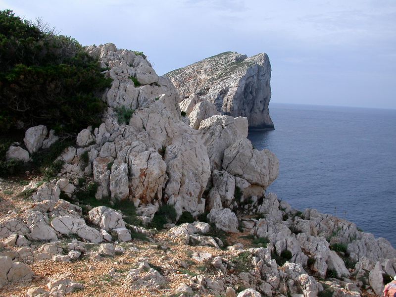 dscn0628.jpg