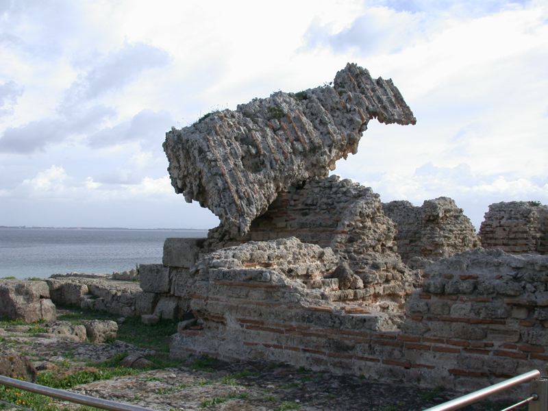 dscn0748.jpg
